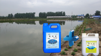 调水改水降氨氮,惠农达效果看得见