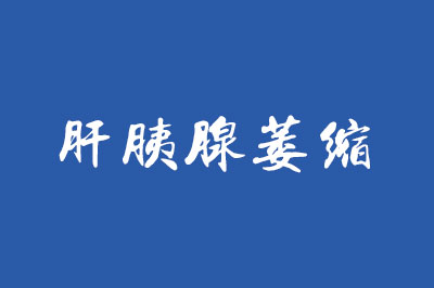 如何保持肠道壮、虾体明亮、肝胰腺清晰？